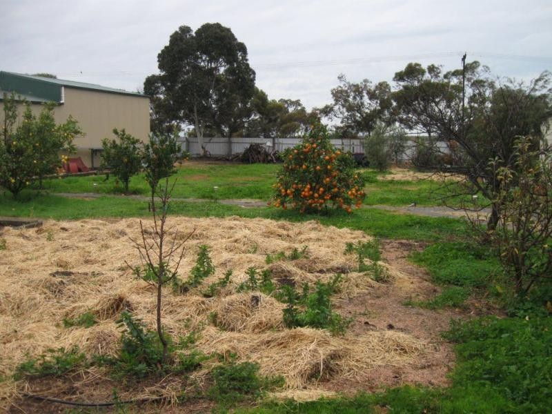 21 Parnell Terrace, Price SA 5570