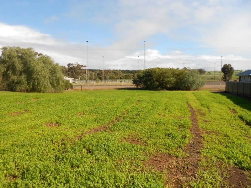 L84 Gilbert Street, Tarlee SA 5411