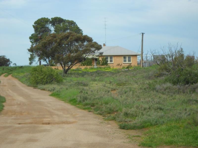963 Mallee Road, Wandearah West SA 5523