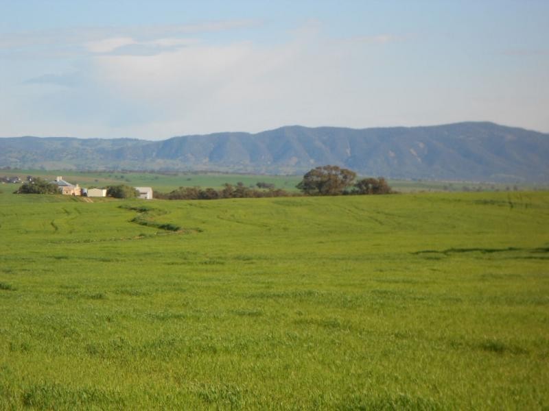 L272 Crossman Road, Booleroo Centre SA 5482