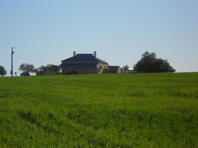 L272 Crossman Road, Booleroo Centre SA 5482