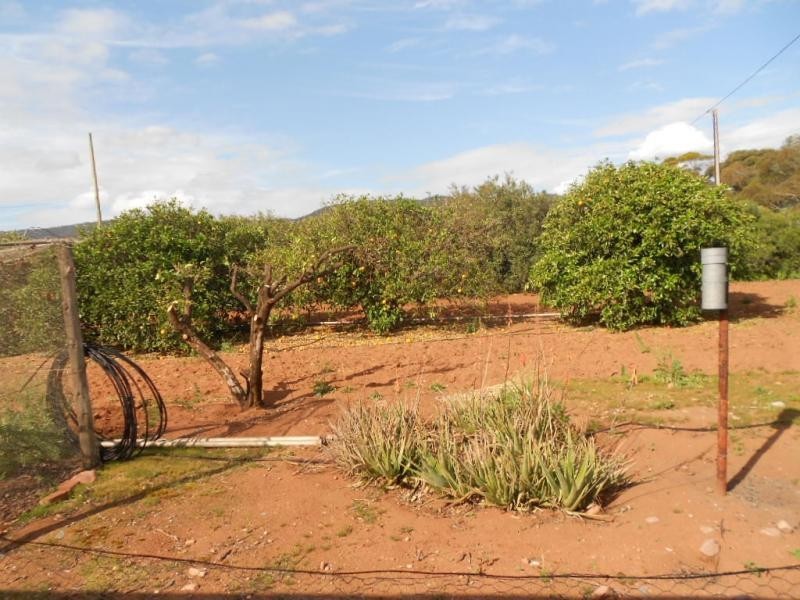 72 Scenic Drive, Napperby SA 5540
