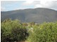 72 Scenic Drive, Napperby SA 5540