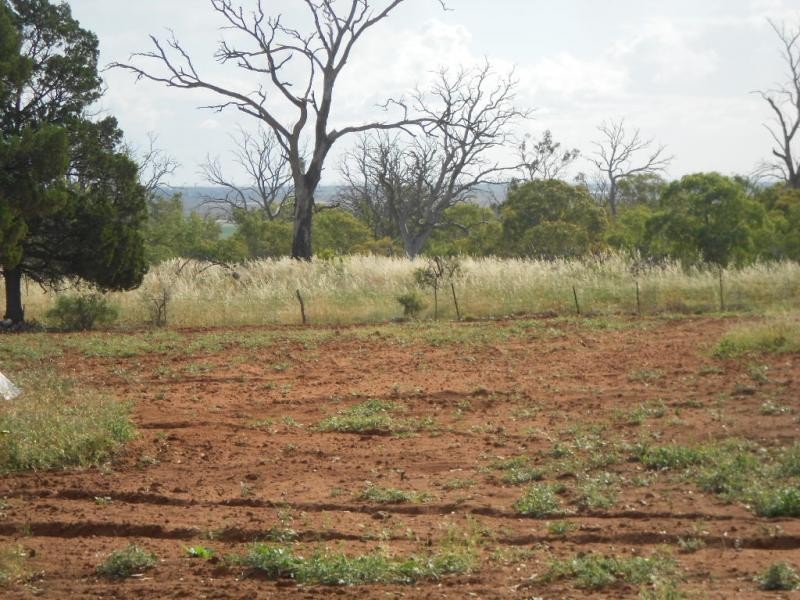 72 Scenic Drive, Napperby SA 5540