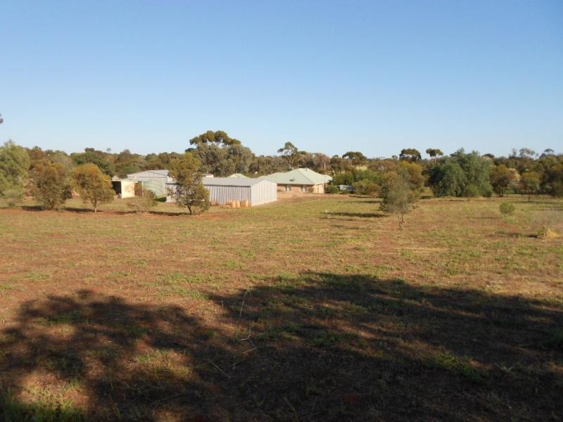 36 Bowman Street, Crystal Brook SA 5523