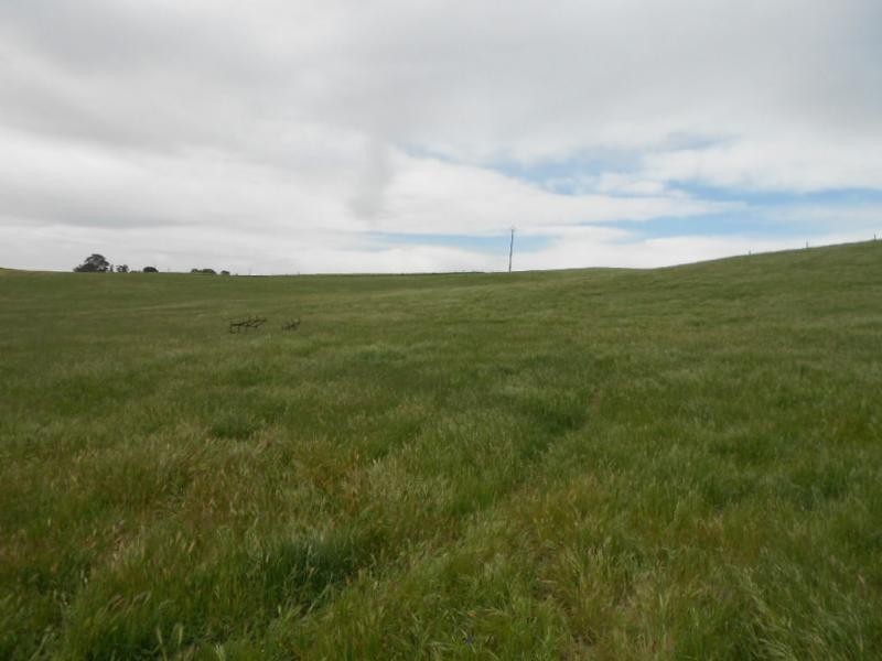 74B Willow Dam Road, Wongyarra, Wirrabara SA 5481