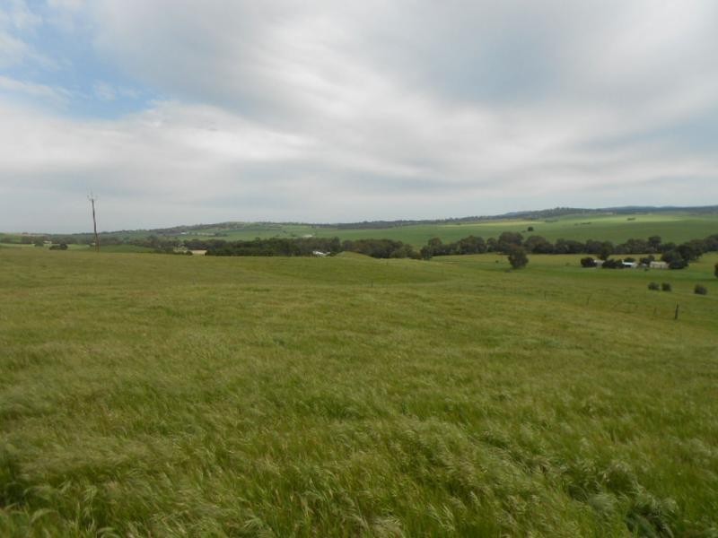 74B Willow Dam Road, Wongyarra, Wirrabara SA 5481