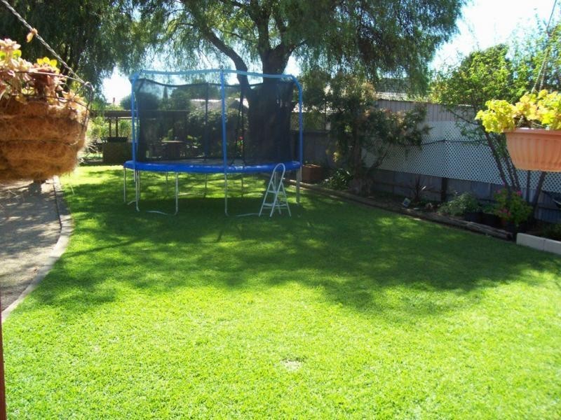 7 Elizabeth Street, Maitland SA 5573