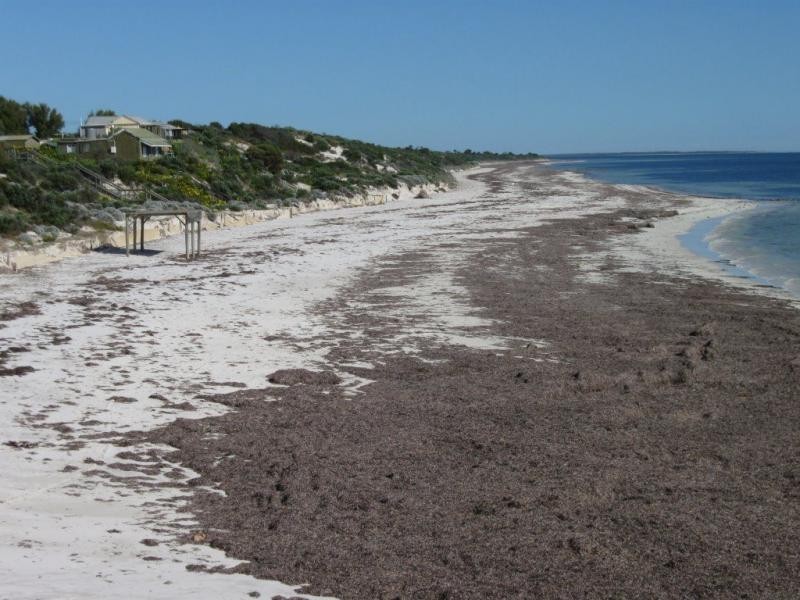 14 South Terrace, Balgowan SA 5573