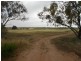 L1 Cattle Track, Crystal Brook SA 5523