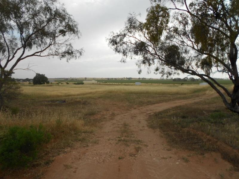 L1 Cattle Track, Crystal Brook SA 5523
