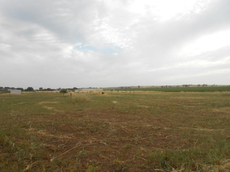 L1 Cattle Track, Crystal Brook SA 5523