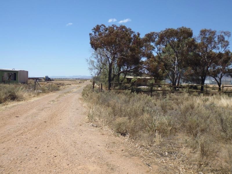 L55 Warnertown Road, Bungama SA 5540