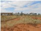 L55 Warnertown Road, Bungama SA 5540
