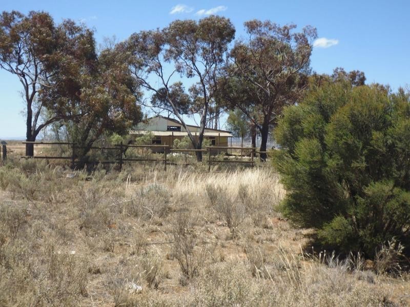 L55 Warnertown Road, Bungama SA 5540