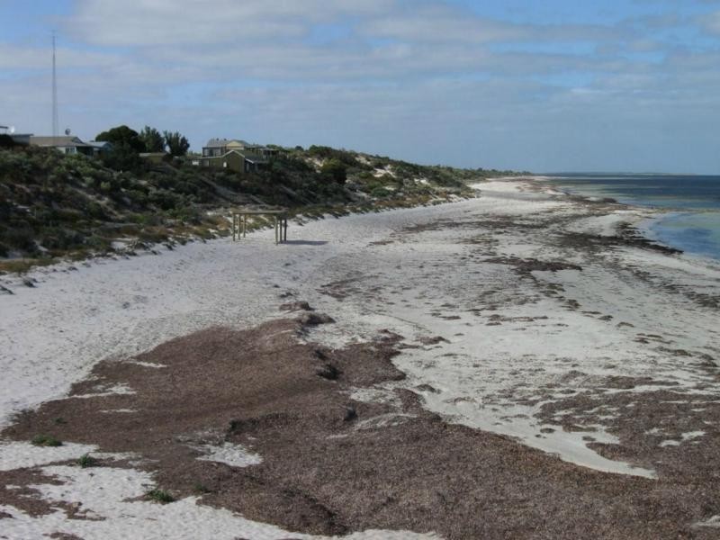 9 Moody Street, Balgowan SA 5573