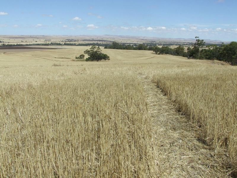 148 Kleinig Road, Laura SA 5480