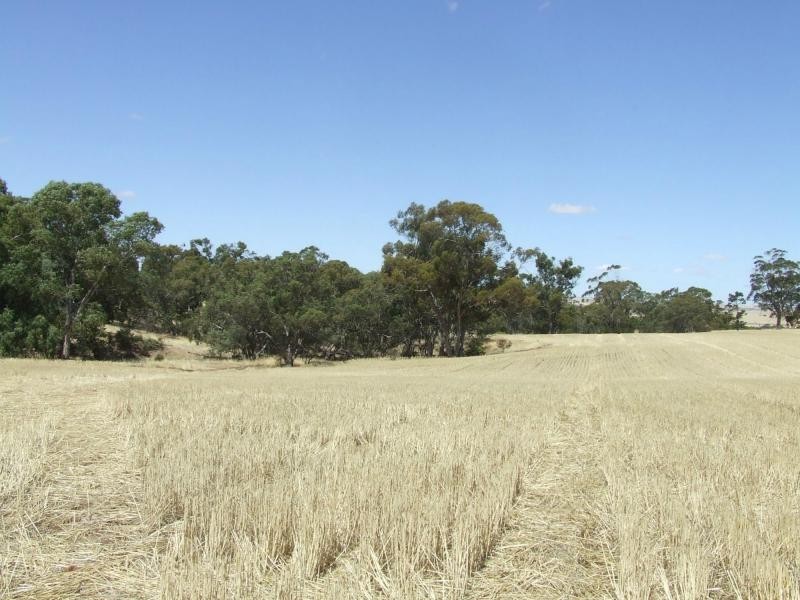 148 Kleinig Road, Laura SA 5480