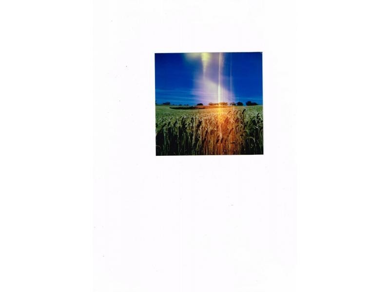 148 Kleinig Road, Laura SA 5480