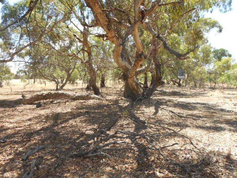 534 Old Reservoir Road, Jamestown SA 5491