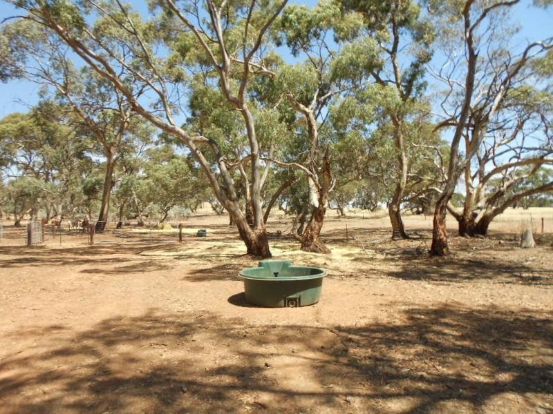 534 Old Reservoir Road, Jamestown SA 5491