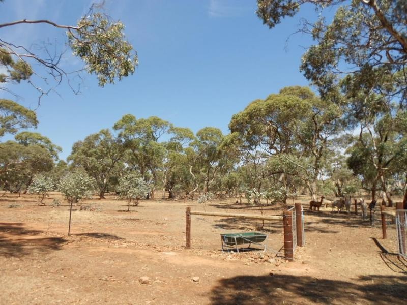 534 Old Reservoir Road, Jamestown SA 5491