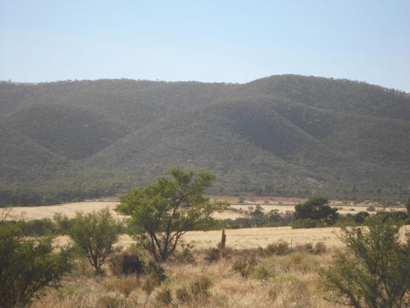 50 Scenic Drive, Napperby SA 5540