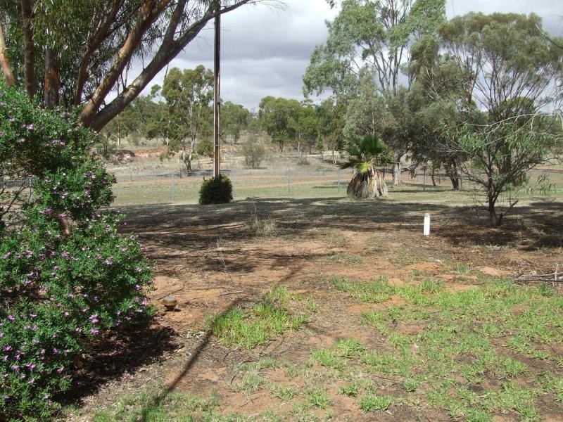 11 Bundock Parade, Laura SA 5480