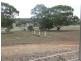 742 Heaslip Road, Wirrabara SA 5481