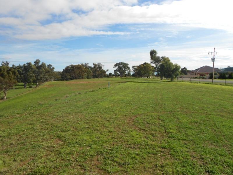 L59 OShaughnessy Road, Crystal Brook SA 5523