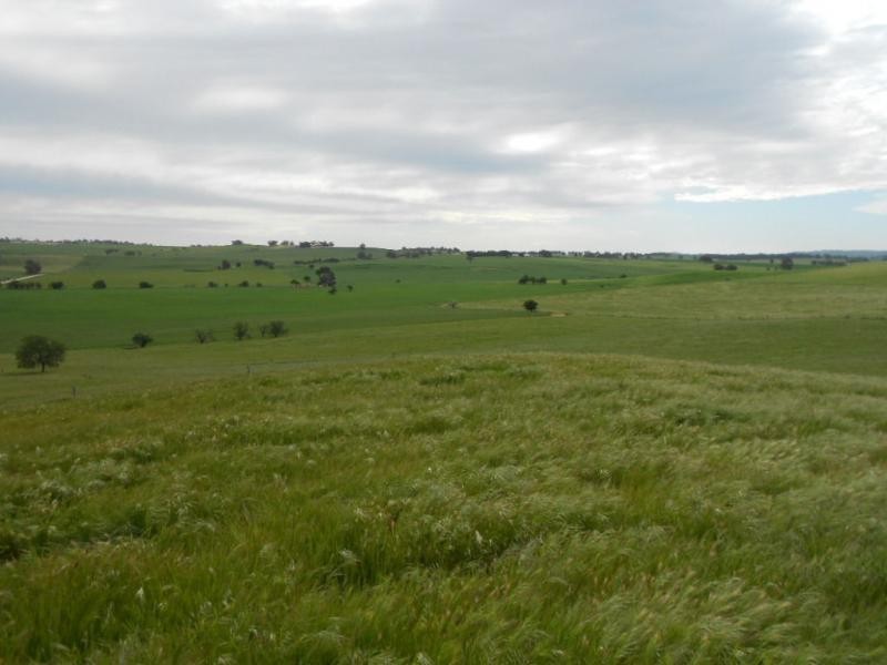 74B Willow Dam Road, Wongyarra, Wirrabara SA 5481