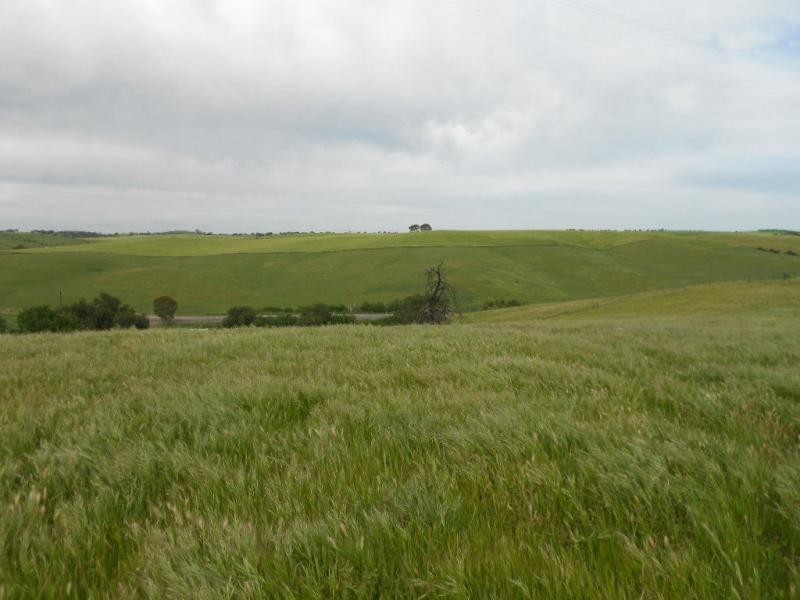 74B Willow Dam Road, Wongyarra, Wirrabara SA 5481