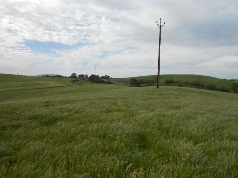 74B Willow Dam Road, Wongyarra, Wirrabara SA 5481