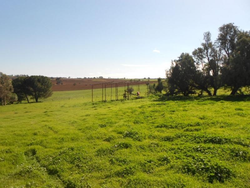 74B Willow Dam Road, Wongyarra, Wirrabara SA 5481