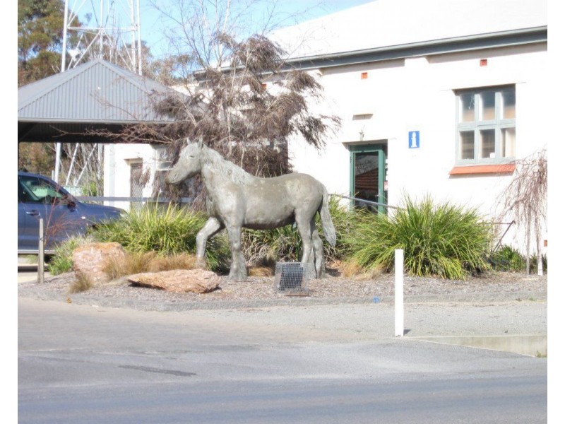 2 Elias Street, Maitland SA 5573