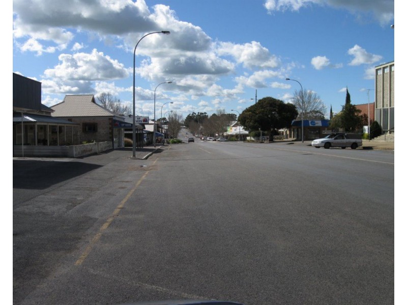 9 Elias Street, Maitland SA 5573