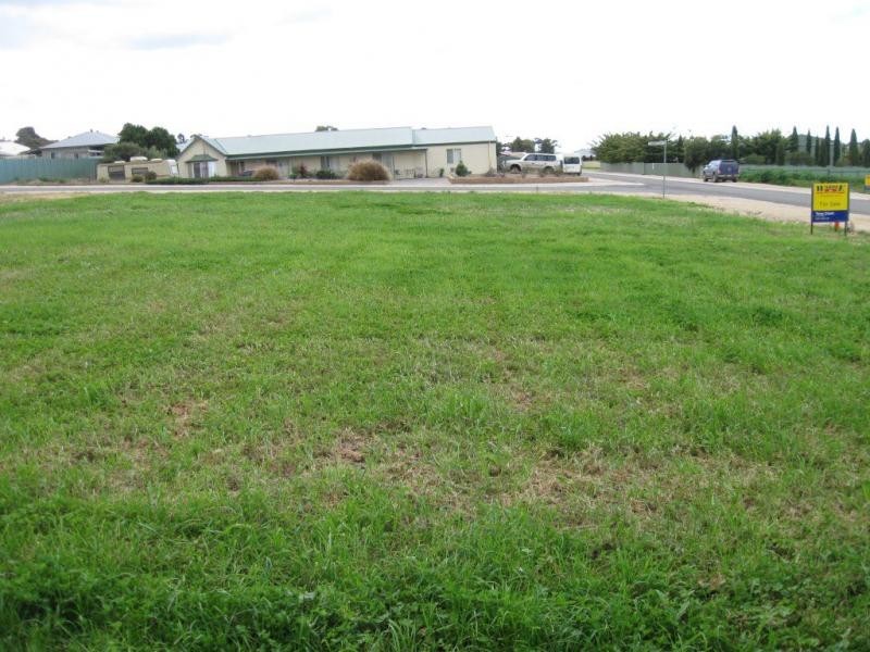 4 St Ledger Avenue, Maitland SA 5573