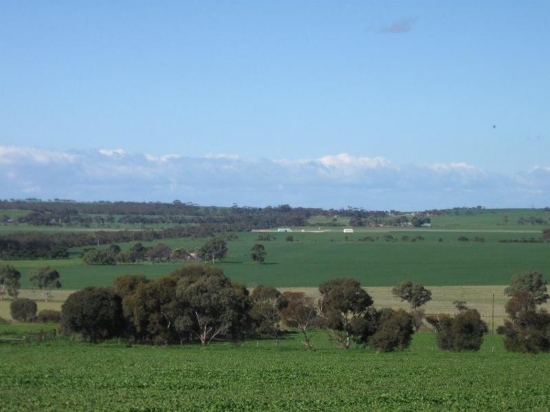 4 St Ledger Avenue, Maitland SA 5573