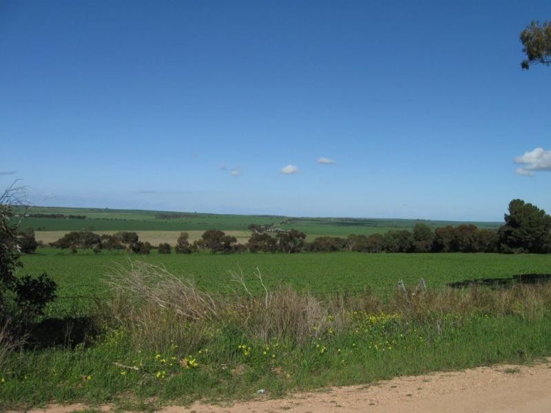 4 St Ledger Avenue, Maitland SA 5573