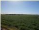 3 Borgas Street, Booleroo Centre SA 5482