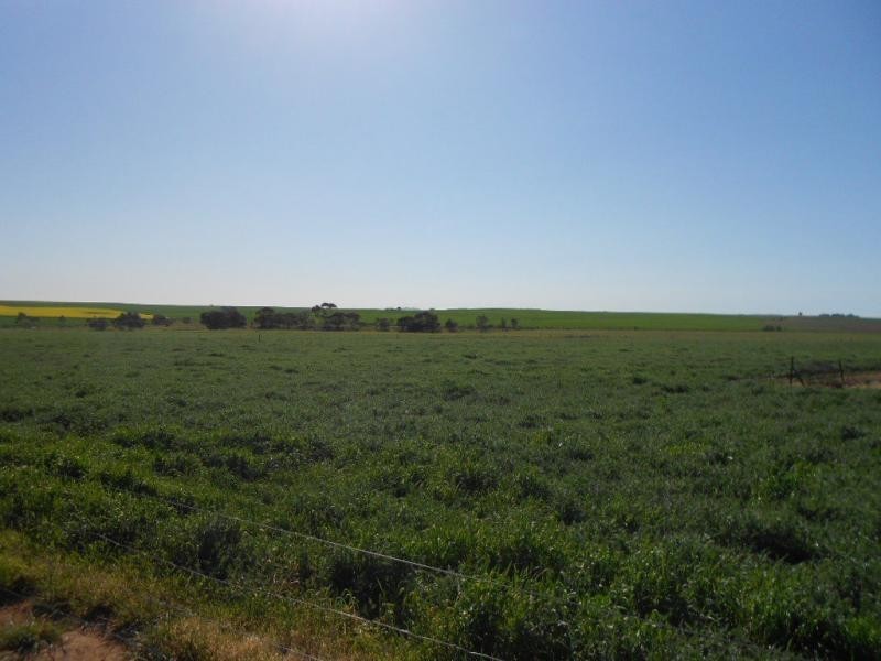 3 Borgas Street, Booleroo Centre SA 5482