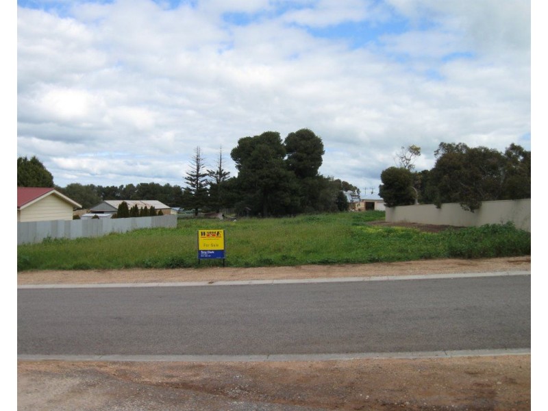 3 Elias Street, Maitland SA 5573