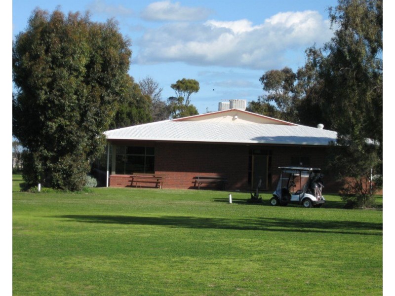 3 Elias Street, Maitland SA 5573