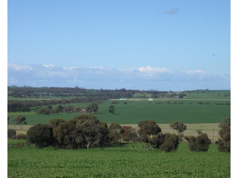 3 Elias Street, Maitland SA 5573