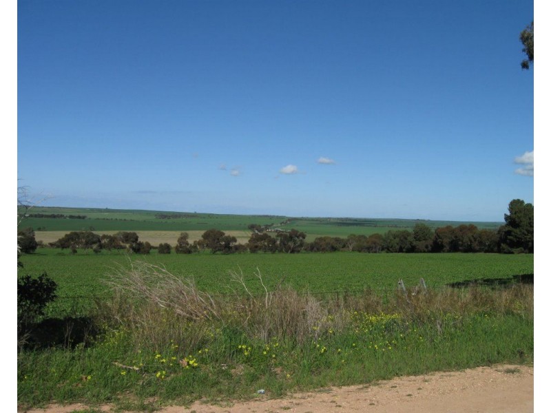 6 Aaron Street, Maitland SA 5573