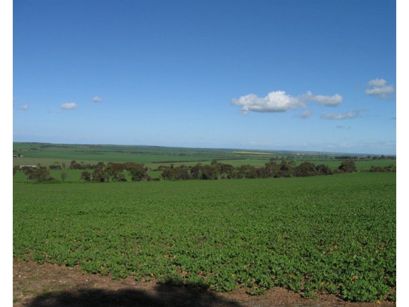 6 Aaron Street, Maitland SA 5573