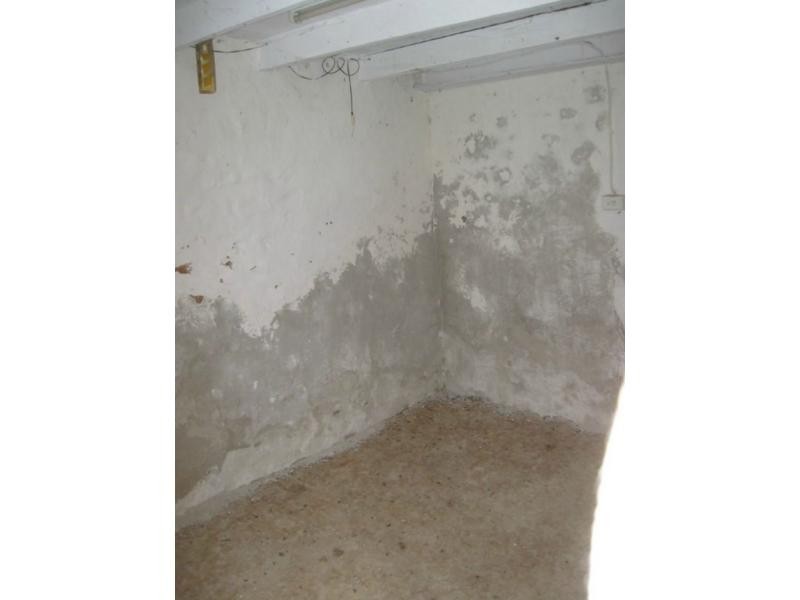 1032 Port Victoria Road, Port Victoria SA 5573