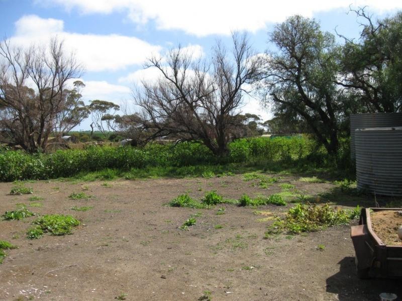 1032 Port Victoria Road, Port Victoria SA 5573