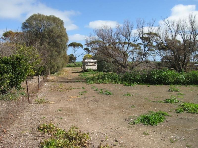 1032 Port Victoria Road, Port Victoria SA 5573