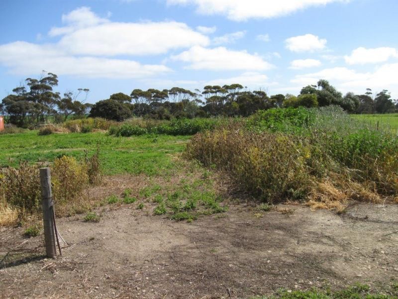 1032 Port Victoria Road, Port Victoria SA 5573